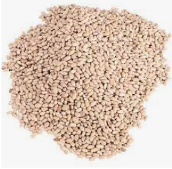 Bulk Frijol Peruano 1/50lb (ND)