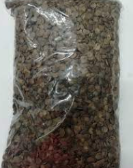 Bulk Semilla de Morro 1/50 Lbs
