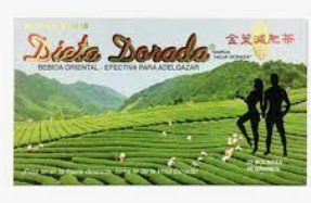 Gold Leaf Te Dieta Dorada 'Golden Slim'