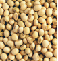 Bulk Soya 1/26lb