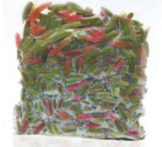 La Guanaquita Pito